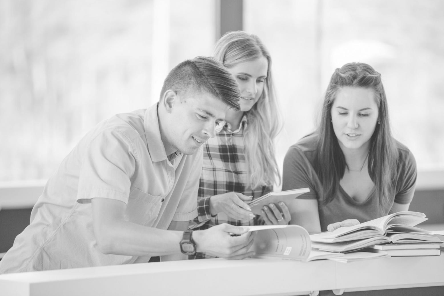 Sesión de formación sobre análisis de estados financieros